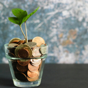 financial wellness